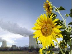 Budget 2011 : Le Grenelle de l'environnement subit la crise