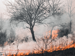 Incendies : l'AMF appelle les maires de France à soutenir financièrement les communes sinistrées
