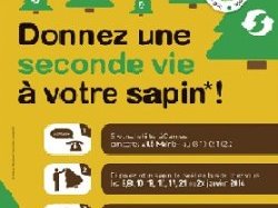 Cannes : une idée pratique et écologique pour recylcer vos sapins