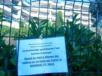 Veni, vidi.. VITE DIT ! par J-M Chevalier