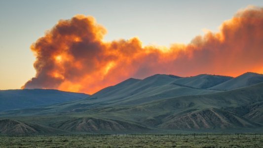 Incendies : les CCI activent leurs dispositifs d'urgence pour soutenir les entreprises sinistrées