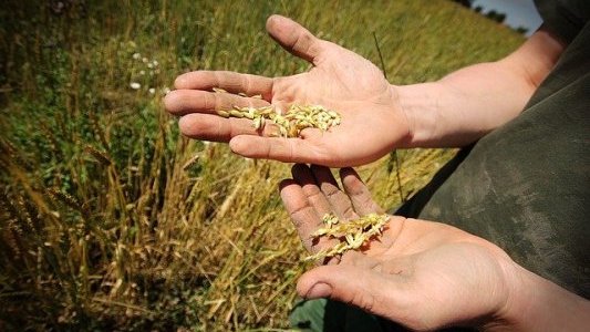Coronavirus : le point sur les mesures et les actions du gouvernement au 7 avril
