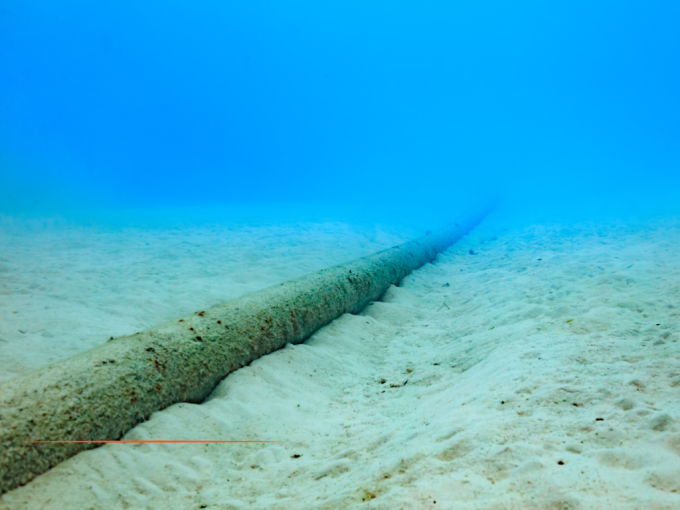 L'essentiel de l'actualit