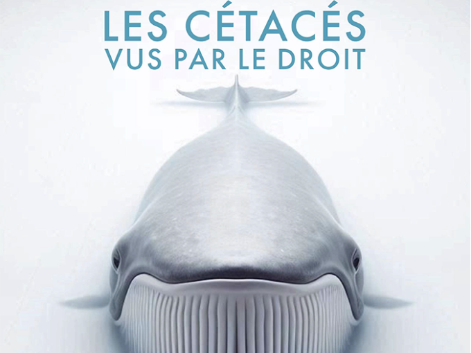 Colloque multidisciplinai