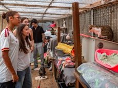 À Cannes, les jeunes élus découvrent les enjeux de la protection animale