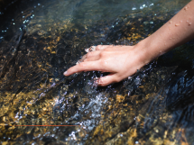 Trophées de l'Eau 2026 : 20 000 euros pour récompenser les projets innovants dans les Alpes-Maritimes