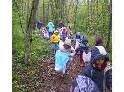 Opération de sensibilisation : Nettoyons la forêt !