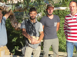 XYLEO Construction bois : la promotion d'un matériau écologique 