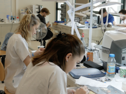 Fonds de dotation Côte d'Azur Formation : « Aller plus loin, plus vite, plus haut »