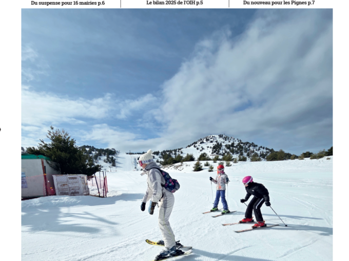 Les Petites Affiches (…)