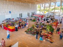 À Cannes, Bocca-centre poursuit sa transformation avec une nouvelle halle et un futur jardin public