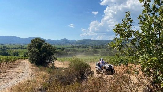Le Var en quad, une expérience inoubliable !