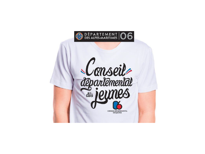 Assemblée plénière d'inst