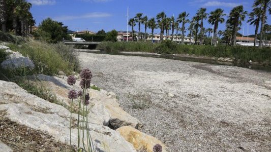 Enlèvement des feuilles mortes de posidonie à Sanary-sur-Mer