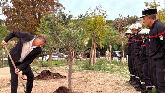 À Biot, dix ans après la tragédie de 2015, des oliviers plantés pour enraciner la mémoire et l'espoir