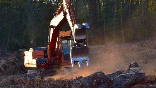 Environnement : l'art de se tirer une balle (de gros calibre) dans le pied...