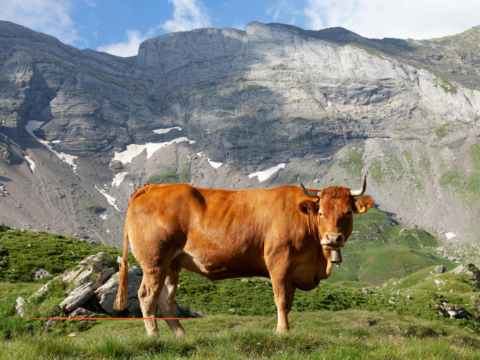 L'essentiel de l'actualit