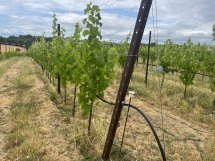 Projet transfrontalier INN-PRATICA : Des experts du Var et de la Corse en Toscane pour un colloque sur l'agriculture du futur