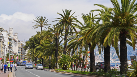 Grève du jeudi 27 janvier 2022 : Gratuité du stationnement sur voirie à Nice