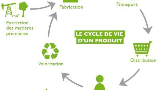 Entreprise : l'éco-conception, une alternative pour une reprise d'activité écologique et durable ?