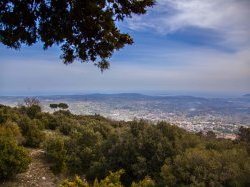 Pays de Grasse : mieux promouvoir le territoire et développer le tourisme "business"