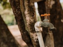 Sécheresse : 110 communes des Alpes-Maritimes désormais soumises à des restrictions d'eau