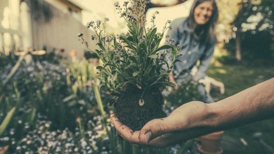 Métiers du paysage et de l'horticulture : 38 offres à pourvoir dans le 06 et 83 via un job dating en ligne !
