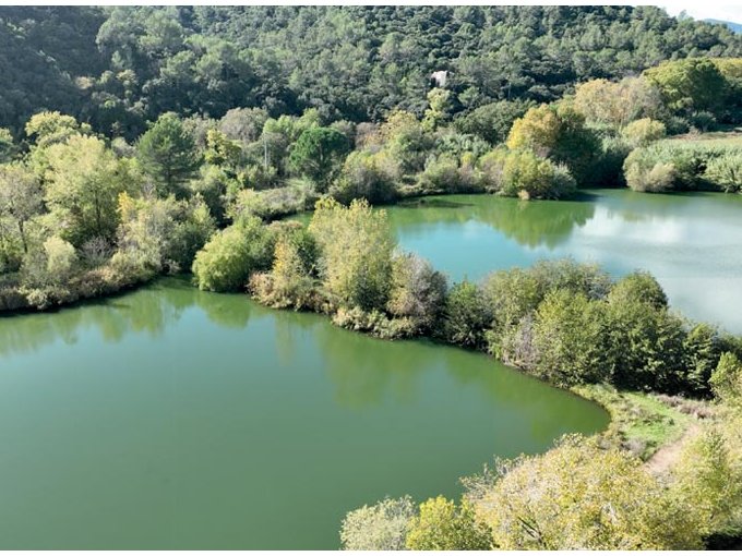 Hyères : la biodiversité