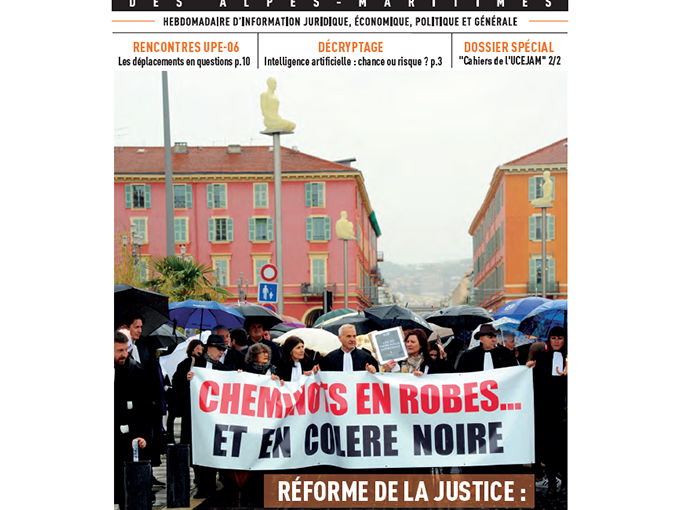 Les Petites Affiches (…)