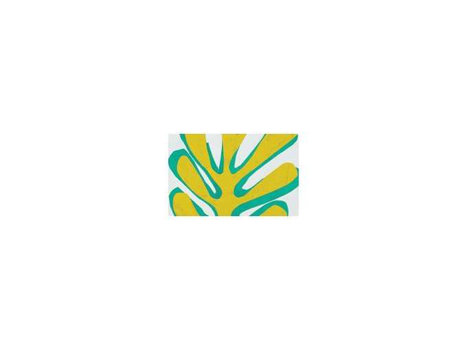Nice : Exposition Matisse