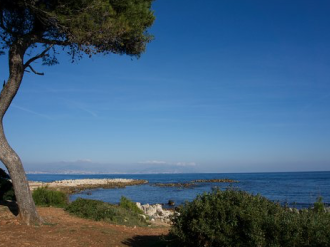 Boostez vos projets avec une séance de coaching au Cap d'Antibes avec DCF et ICF !
