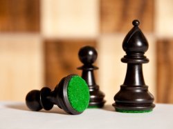L'impact de la stratégie d'investissement responsable des assureurs : les engagements de la MAIF