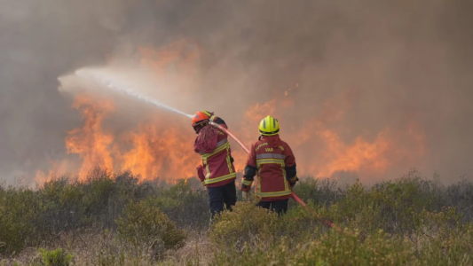 Canicules et incendies, la Fondation de France lance un appel à la générosité