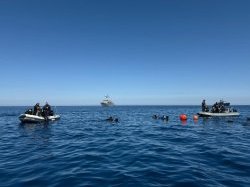 Un haut niveau d'interopérabilité pour le Capricorne en Méditerranée