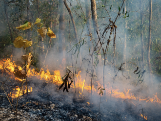 Feux de forêt : des moyens supplémentaires pour le service départemental d'incendie et de secours des Alpes-Maritimes