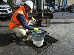 Pollution de l'eau : l'Agglomération Cannes Lérins installe 21 paniers anti macro-déchets