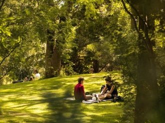 Rapport cannois du développement durable 2019 : des actes pour protéger la ville et la planète 