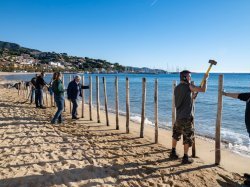 Au Lavandou, des solutions douces pour lutter contre l'érosion côtière
