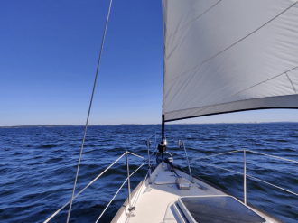 Économie bleue : les Alpes-Maritimes à l'heure de la transition environnementale