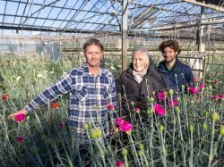 Fleurette Hyères, une histoire de famille