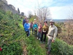 Saint-Paul-de-Vence : Une forêt au pied des remparts