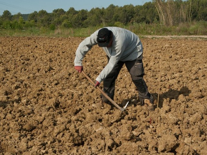 4 projets alimentaires