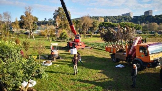 Un verger municipal pour alimenter les cantines scolaires à Villeneuve Loubet !