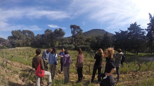 A Hyères, la crise sanitaire a changé la donne touristique