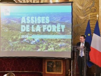 La feuille de route pour la forêt des Alpes-Maritimes présentée ce vendredi