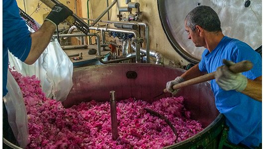 Unesco : la filière des parfums de Grasse fait partie du patrimoine mondial de l'humanité
