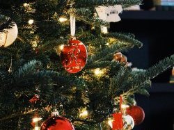 La Métropole Nice Côte d'Azur collecte vos sapins en porte-à-porte les mardis 5 et 12 janvier 2021