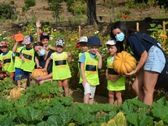 Au Lavandou, cet été, un programme riche et varié pour les jeunes