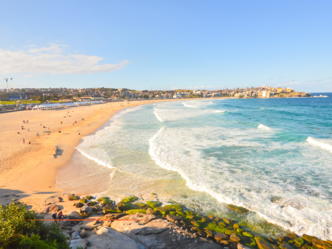 L'essentiel de l'actualit