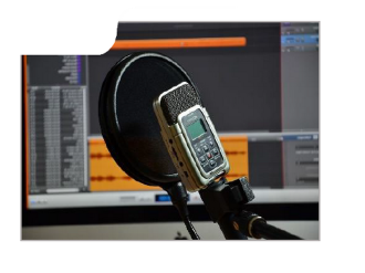 "Des forêts et des Hommes", diffusée chaque mercredi sur trois radios locales